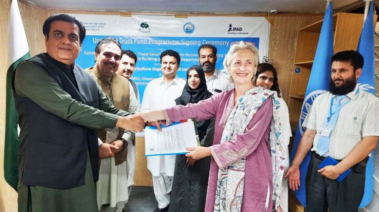 Government and UN work together in strengthening agriculture, livestock and fisheries in Balochistan