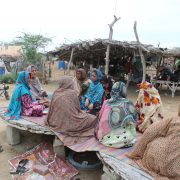Community Trainings