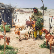How Goats Transformed Sammi’s Life