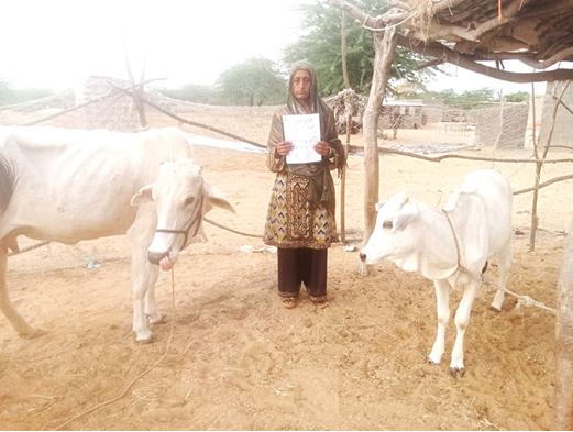 From a Housewife to a Dairy Entrepreneur: GLLSP II's Impact on Women’s Financial Independence