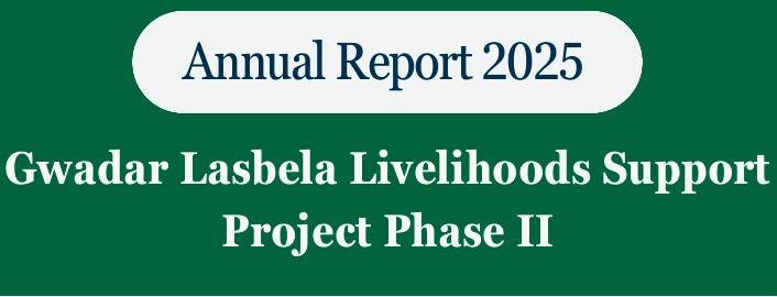 Annual Report 2025